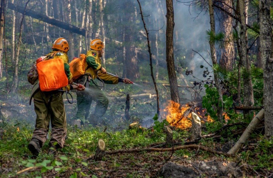 В Якутии действует 77 лесных пожаров. Угрозы населенным пунктам нет