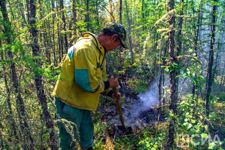 На сегодня в Якутии действуют 54 лесных пожара
