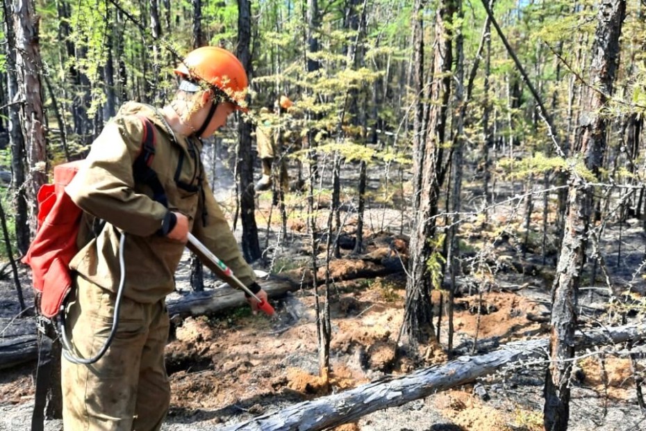 За прошедшие сутки в Якутии ликвидировано шесть лесных пожаров