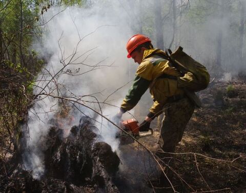 По состоянию на 10 июля в Якутии действует 76 лесных пожаров