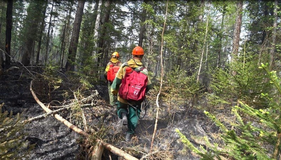 По состоянию на 5 июня в Якутии действует 77 лесных пожаров