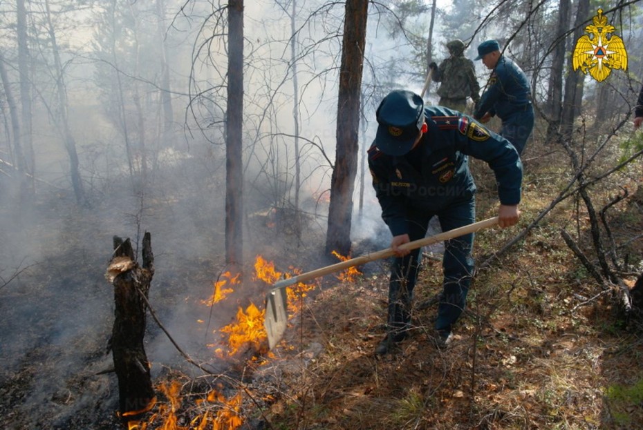 С 80 до 101 выросло количество действующих лесных пожаров в Якутии по состоянию на 28 июля