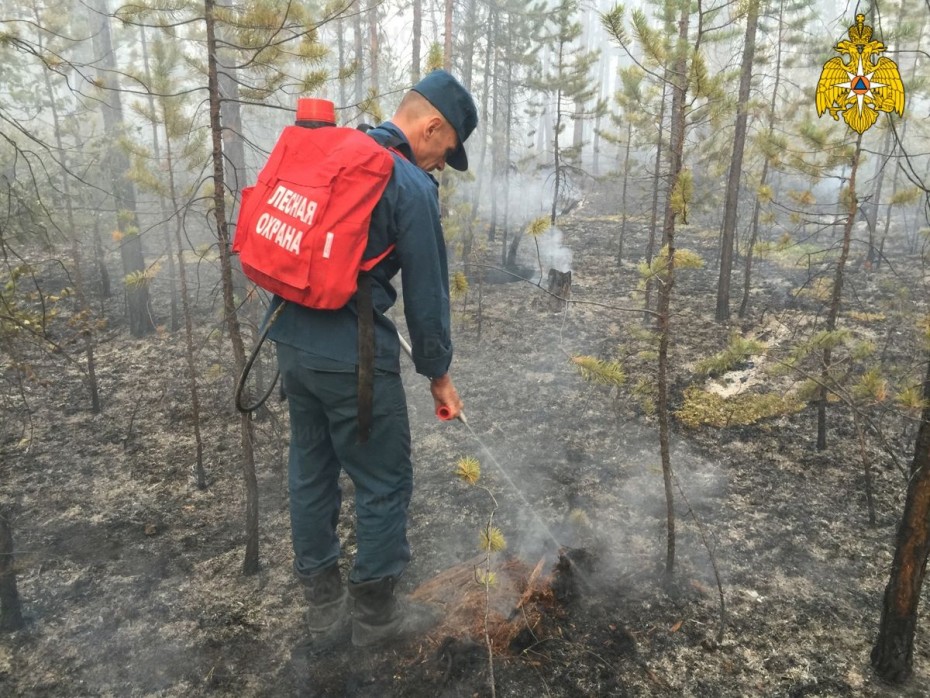 103 лесных пожара действует в Якутии по состоянию на 31 июля
