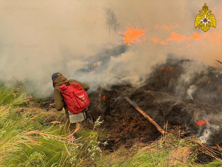 10 лесных пожаров действуют в Якутии по состоянию на 19 августа