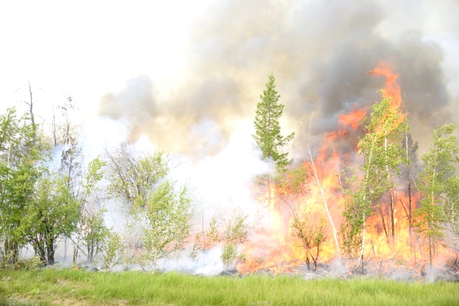 В Якутии действует 9 лесных пожаров площадью 92 570 га