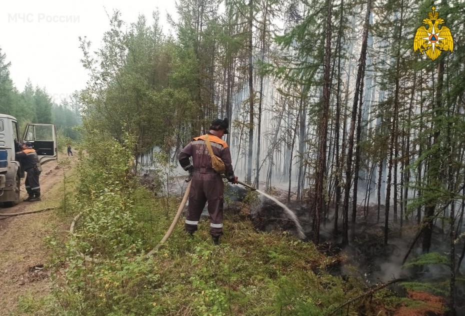 24 лесных пожара действуют в Якутии по состоянию на 11 августа