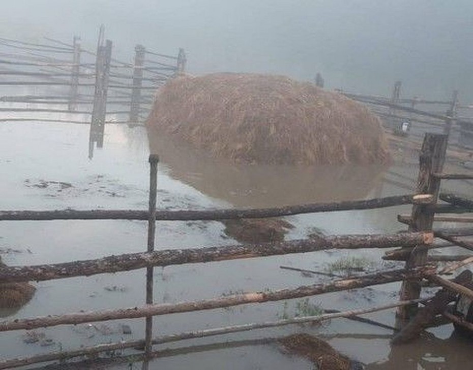 В Минсельхозе названа предварительная сумма ущерба от дождевого паводка в Верхоянском районе