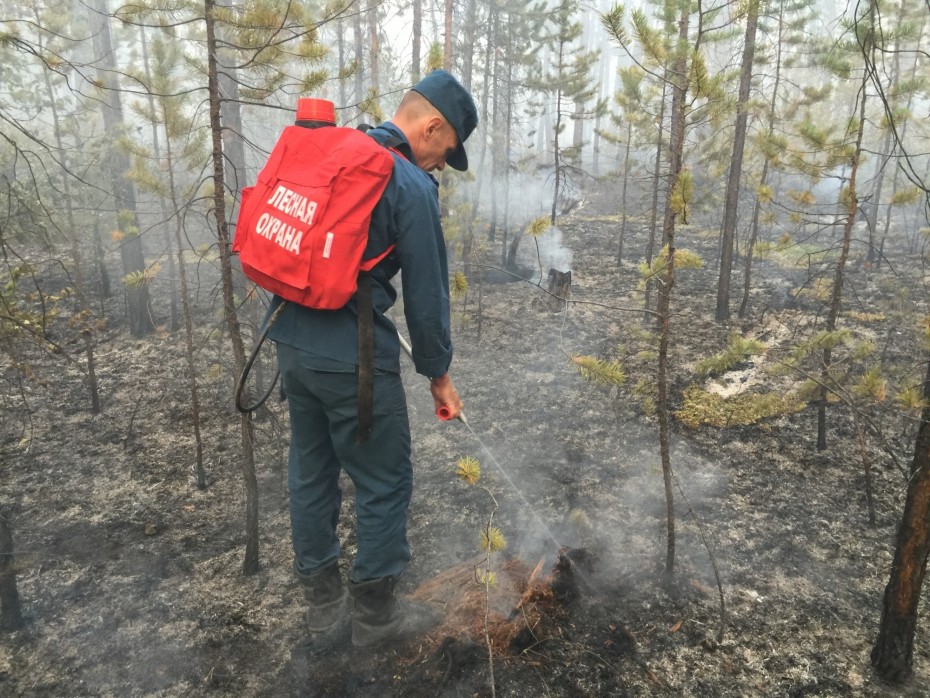Один лесной пожар действует на территории Якутии по состоянию на 27 августа