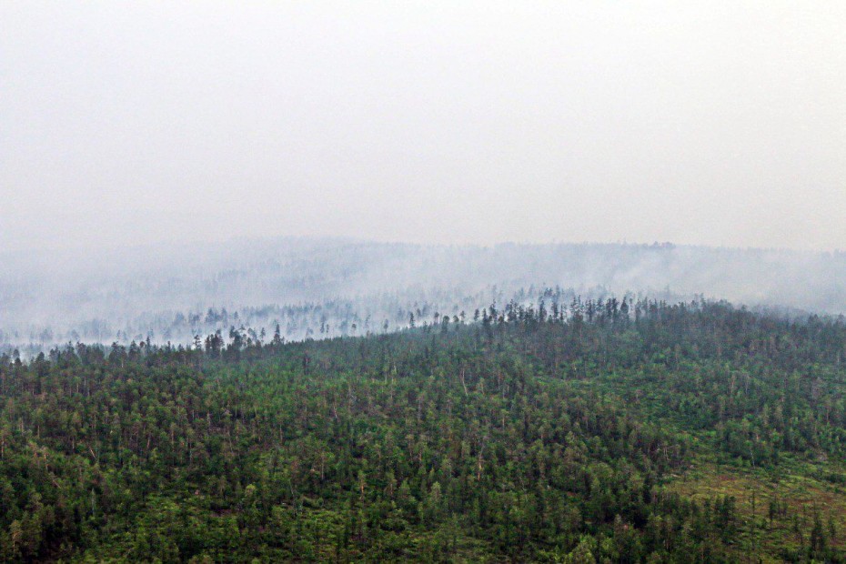 Последний лесной пожар ликвидирован в Якутии