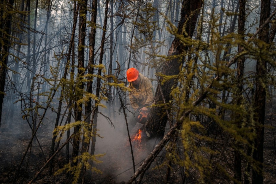 12 лесных пожаров действует в Якутии по состоянию на 18 августа