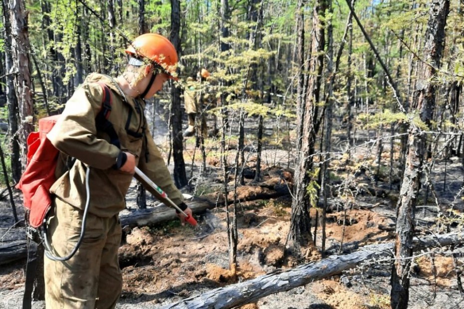 14 лесных пожаров действует в Якутии по состоянию на 21 августа