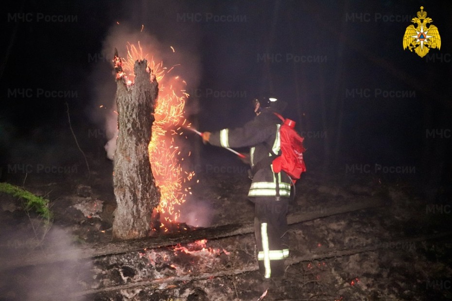 11 лесных пожаров действует в Якутии по состоянию на 16 августа