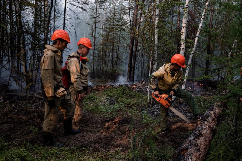 13 лесных пожаров действует в Якутии по состоянию на 20 августа