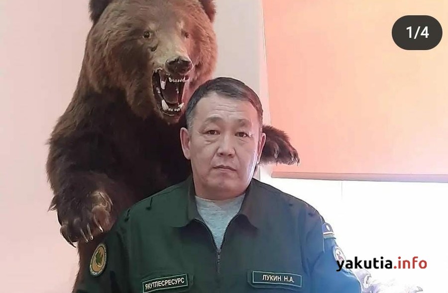 Два года условно: Приговор леснику Николаю Лукину за гибель бульдозериста Элбаги Игитяна во время лесного пожара