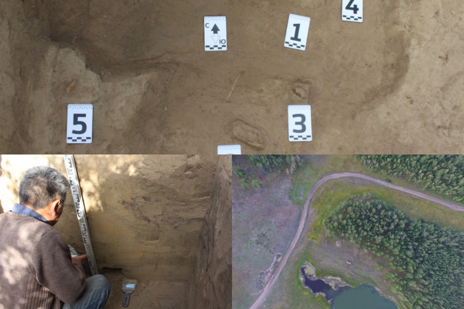 Останки мамонта, шерстистого носорога и бизона раскопаны в Чурапчинском районе археологами Института гуманитарных исследований