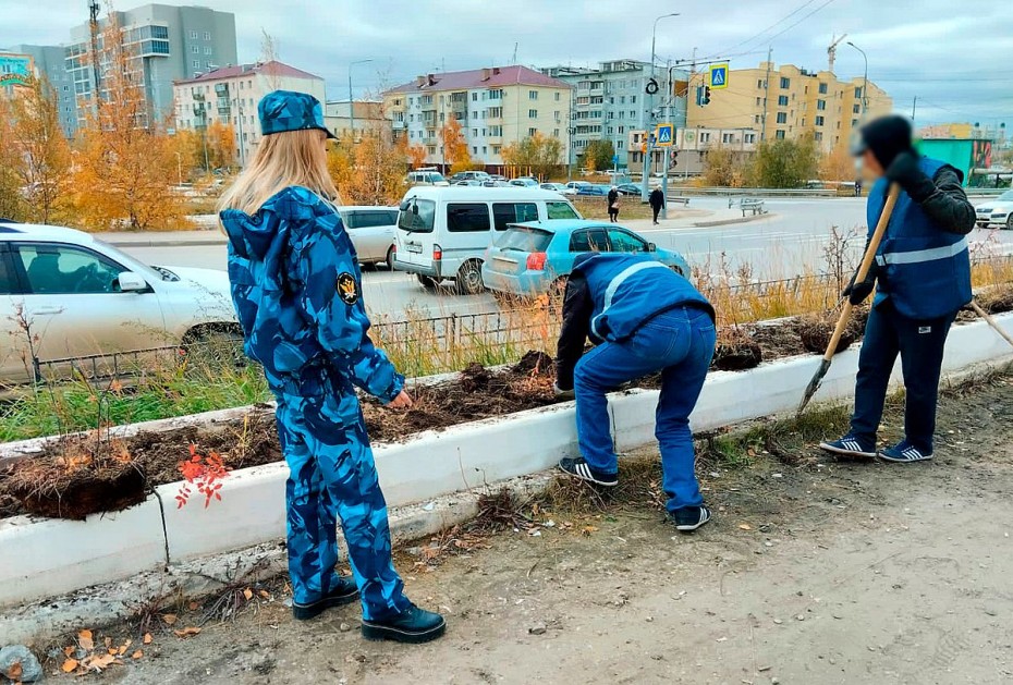 80 саженцев шиповника высадили осужденные на улицах Якутска