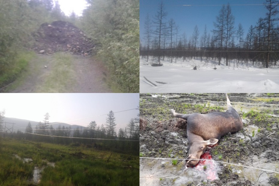 Минэкологии Якутии ответило на публикацию о нарушениях природоохранного законодательства в Усть-Майском районе