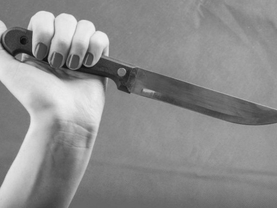 Женщина приговорена к обязательным работам и лишена родительских прав за угрозу ножом родной дочери