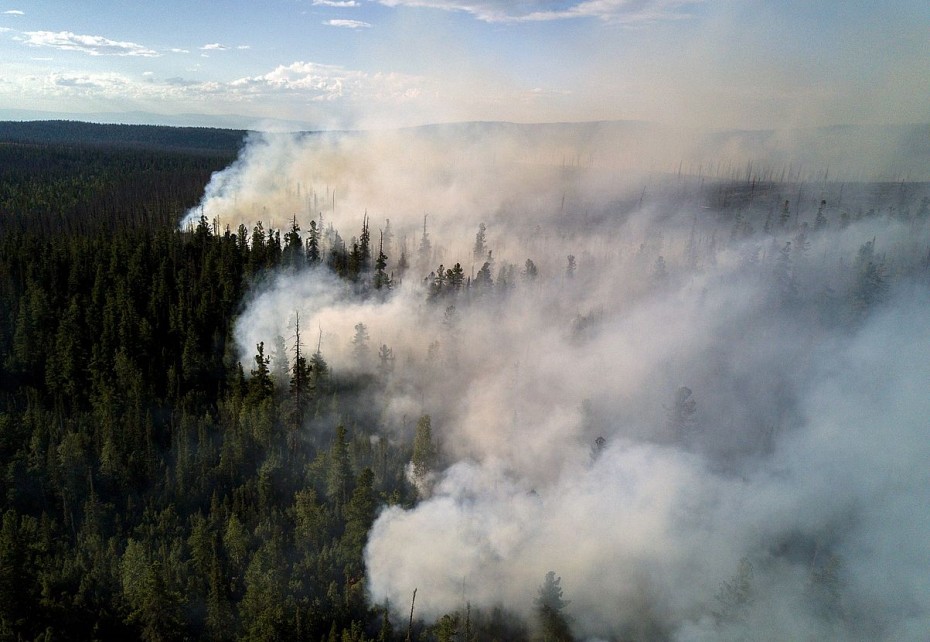 Территорию тушения лесных пожаров в России расширят в 2023 году