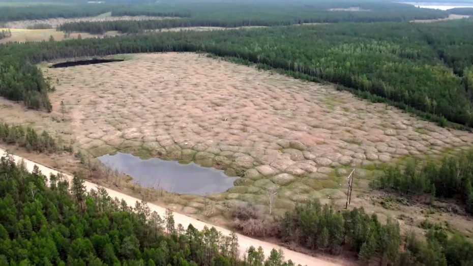 Посмотри в глаза природе: О проблеме вырубки лесов и загрязнения рек в Якутии – в документальном кино «(Не)родная земля. Кыыс Амма»