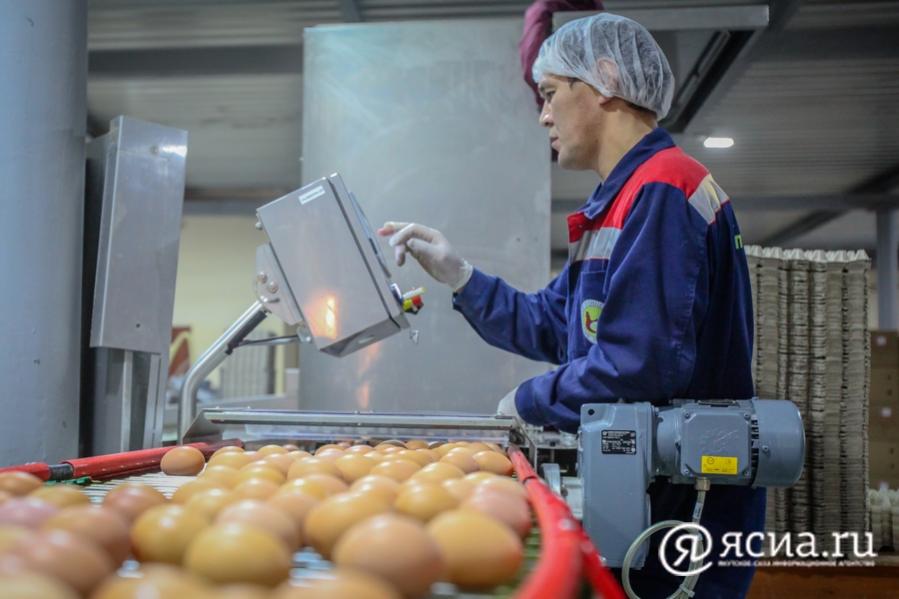 На 4 млн яиц больше, чем в 2021 году произвели на Якутской птицефабрике в ушедшем 2022 году
