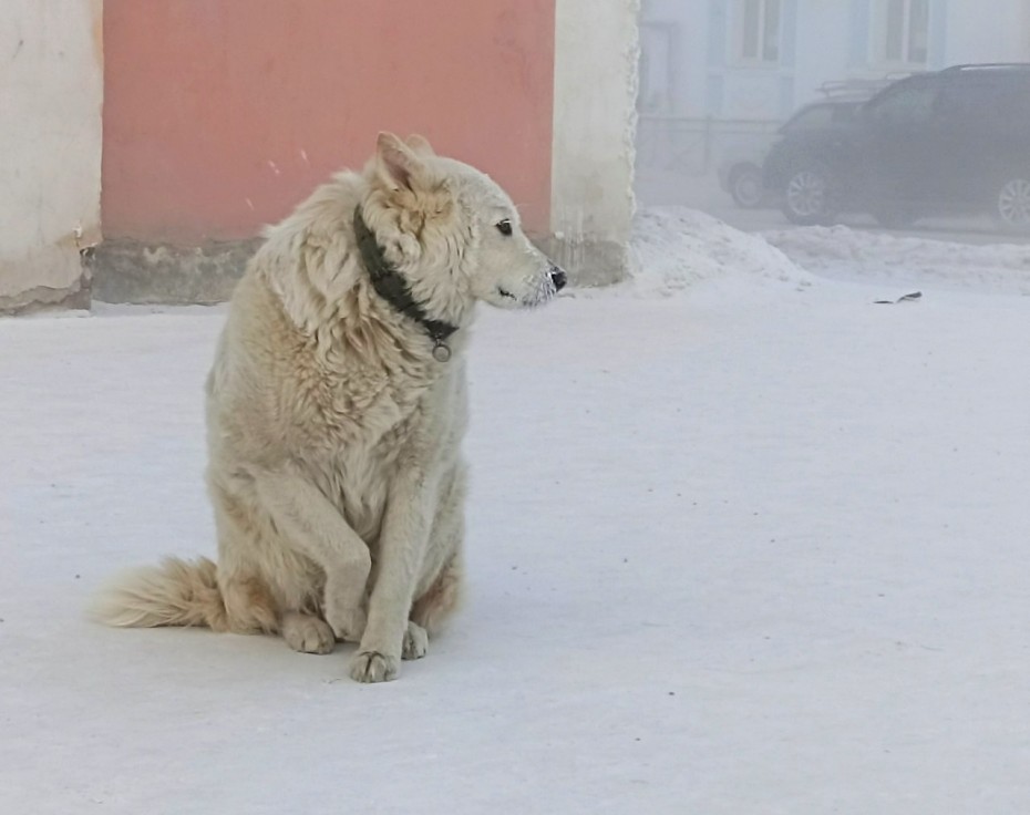 Синоптики: В ближайшие сутки в Якутии снова похолодает