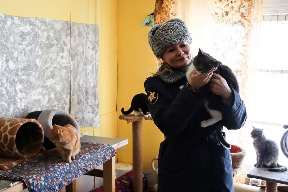Женсоветом УФСИН оказана адресная помощь благотворительному фонду помощи животным «Четыре лапки»