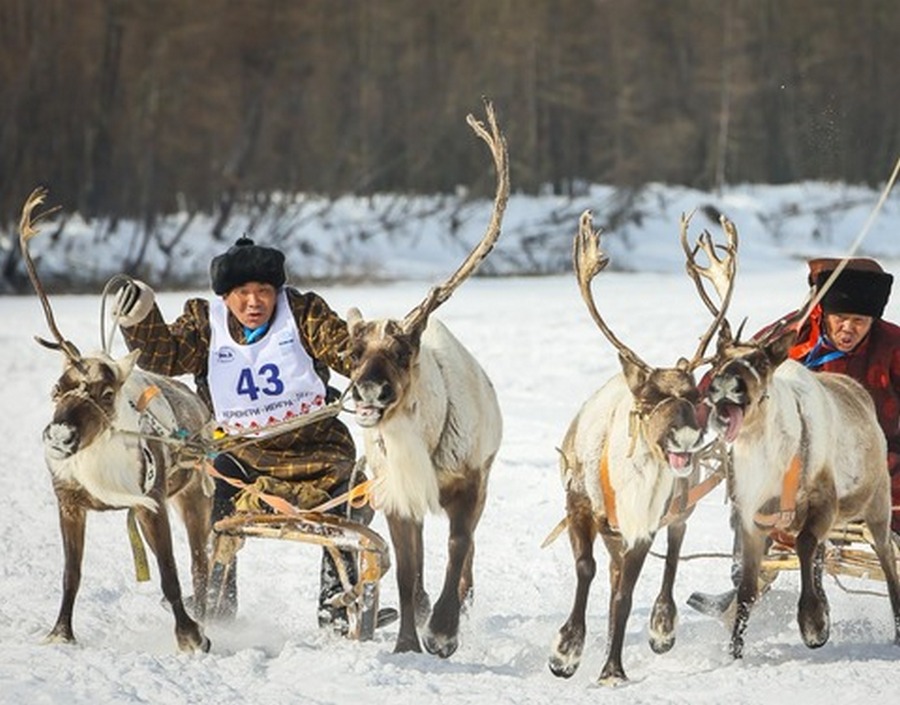 Победу в гонках на оленьих упряжках на международном чемпионате одержал Игорь Колесов