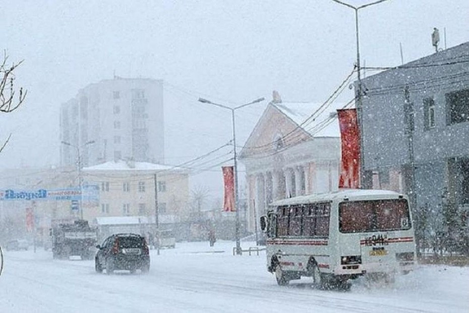 Агрессивного водителя автобуса №15 в Якутске, самовольно высадившего пассажиров уволили