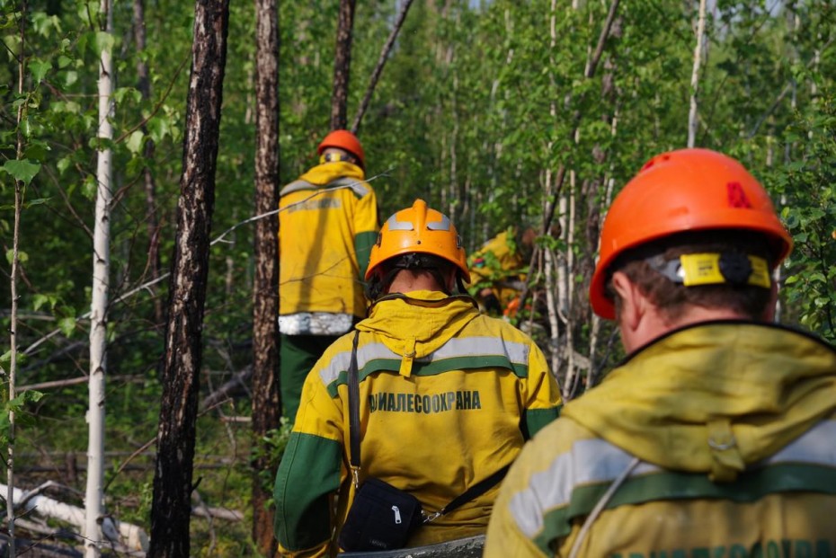 За сутки в Якутии потушили один лесной пожар
