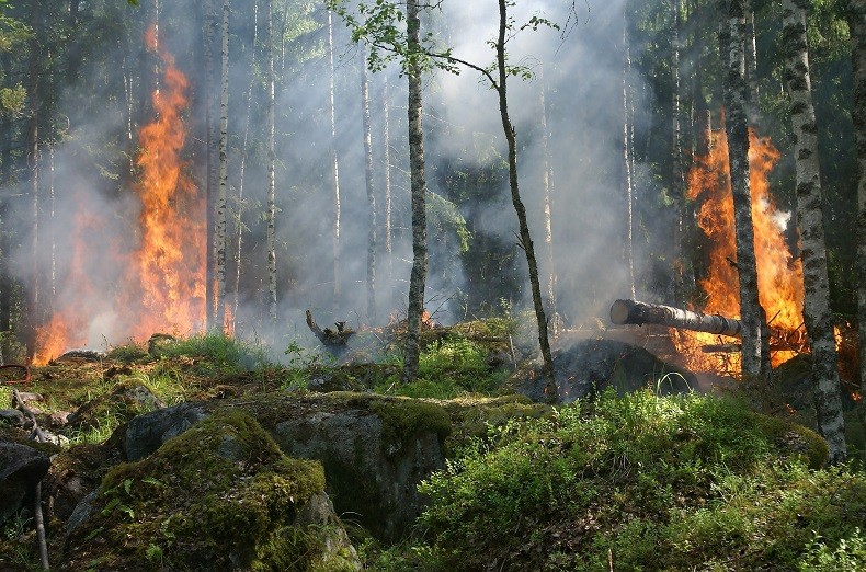 Три лесных пожара за сутки потушили в Якутии
