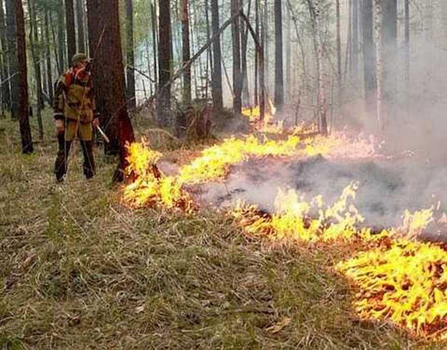 140 лесных пожаров действует в Якутии по состоянию на 6 июня