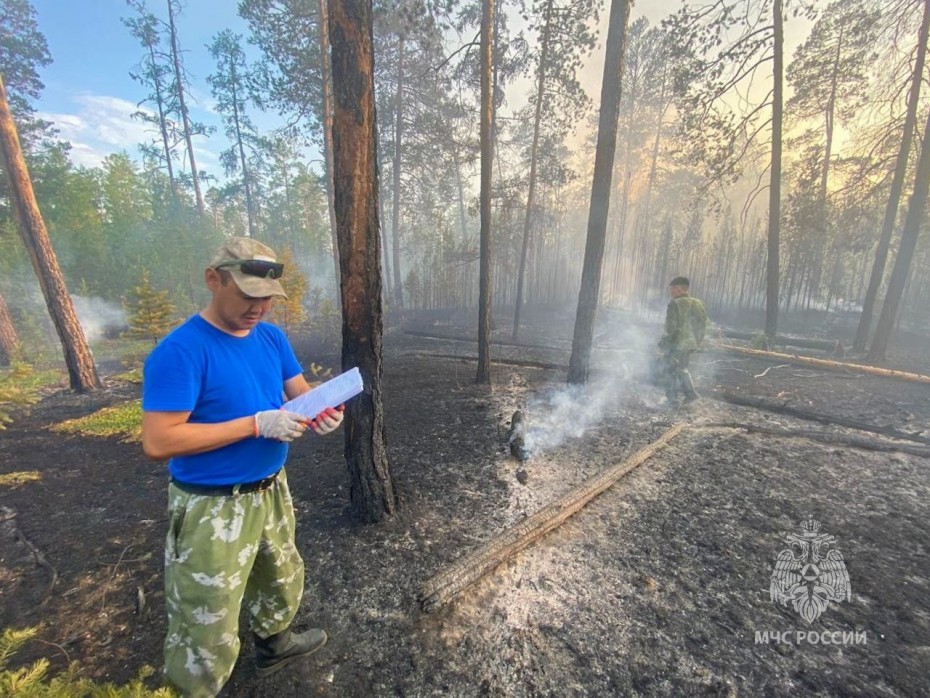 Дознаватели МЧС России устанавливают причины лесных пожаров в Якутии