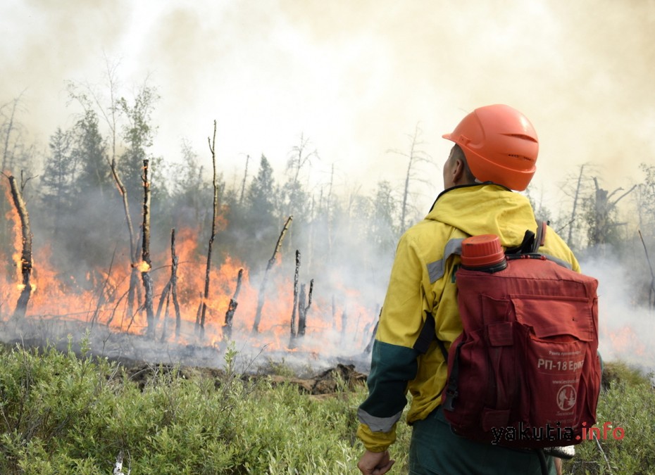 165 лесных пожаров действуют в Якутии по состоянию на 10 июля