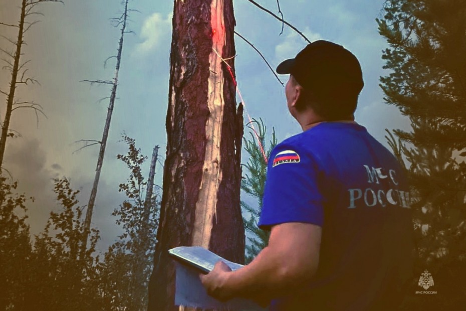 Причиной четверти случаев возгорания в лесах Якутии является человеческий фактор