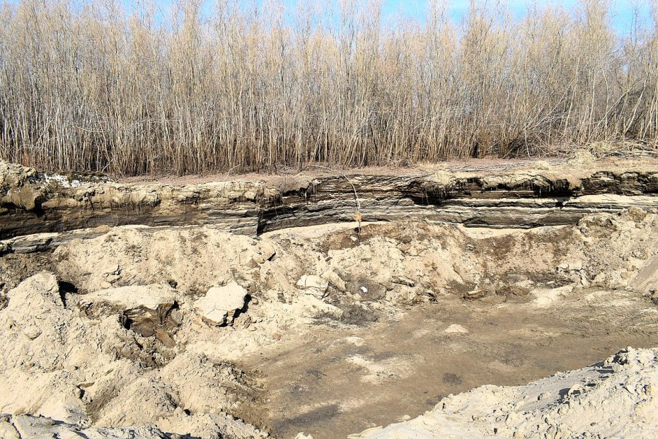 Пресечена незаконная добыча песка в районе Даркылах в Якутске