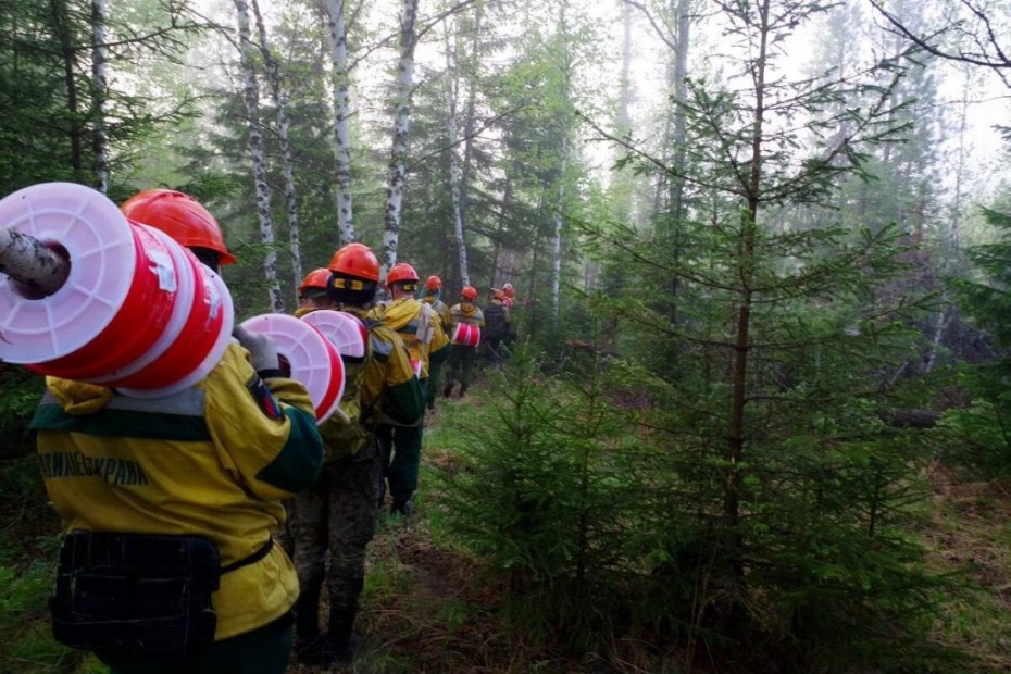 121 лесной пожар действует в Якутии по состоянию на 15 августа