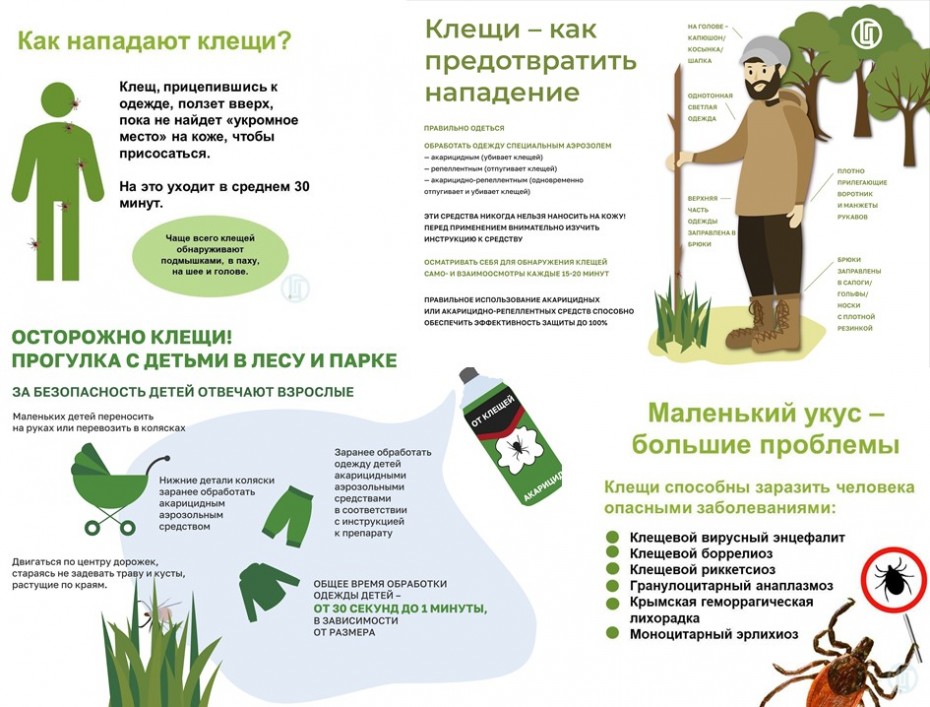 403 случая укусов таежными клещами зарегистрировано в Якутии