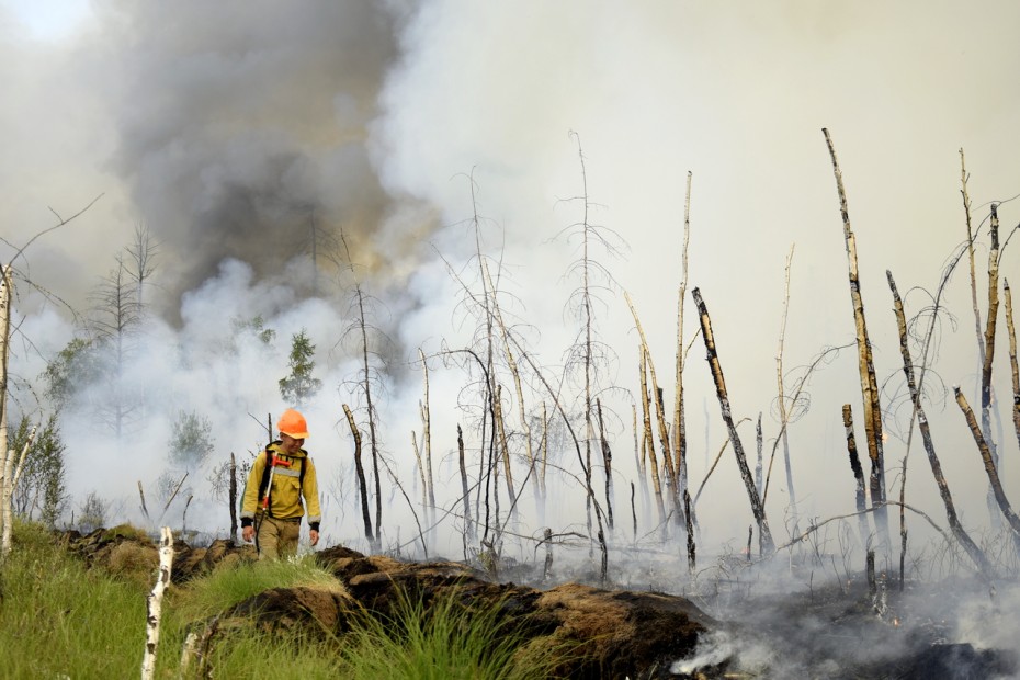 В Якутии за сутки ликвидировано четыре лесных пожара