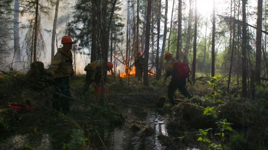 56 лесных пожаров действуют в Якутии по состоянию на 24 июля