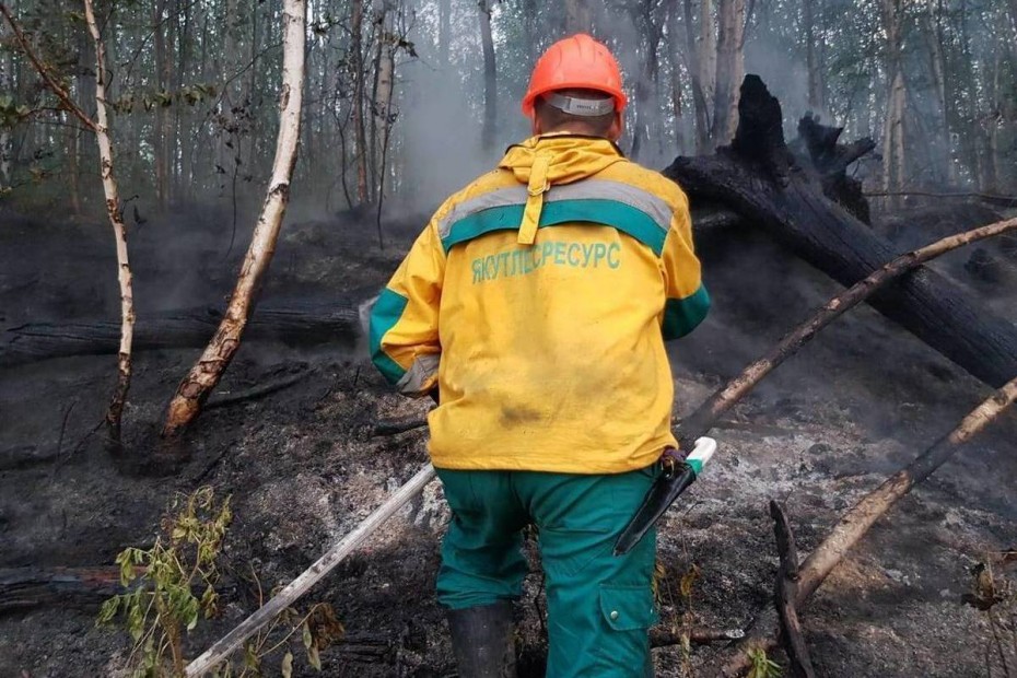 85 лесных пожаров действует в Якутии по состоянию на 30 июля