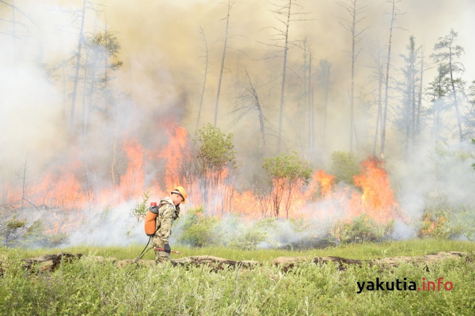 127 лесных пожаров действуют в Якутии по состоянию на 14 августа