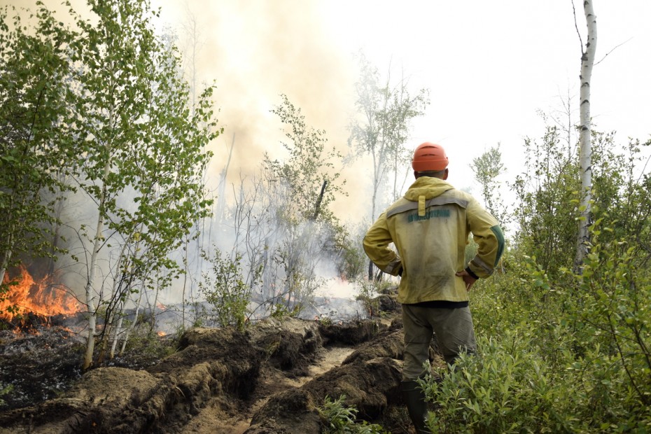 56 лесных пожаров действуют в Якутии по состоянию на 23 июля