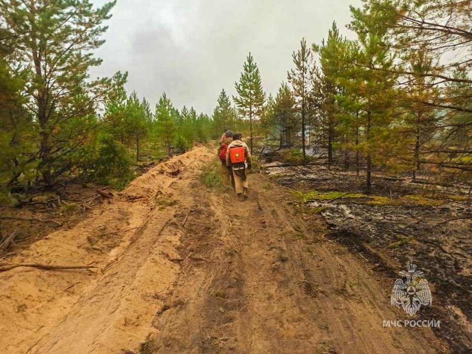 10 лесных пожаров действует в Якутии по состоянию на 26 августа