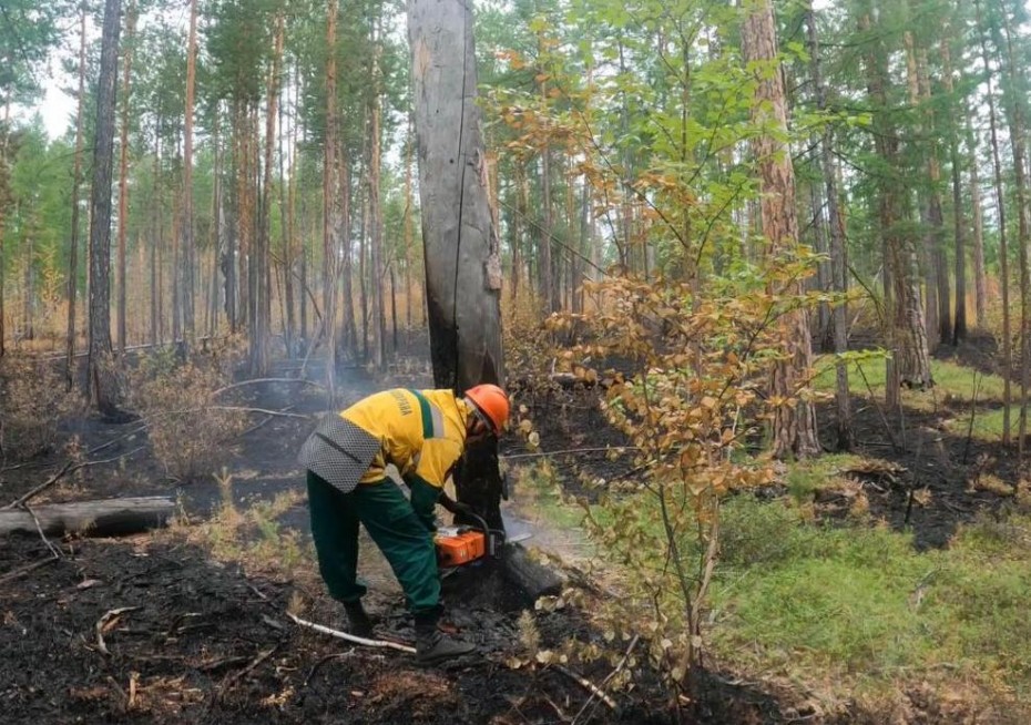 В Якутии за сутки потушили 20 лесных пожаров