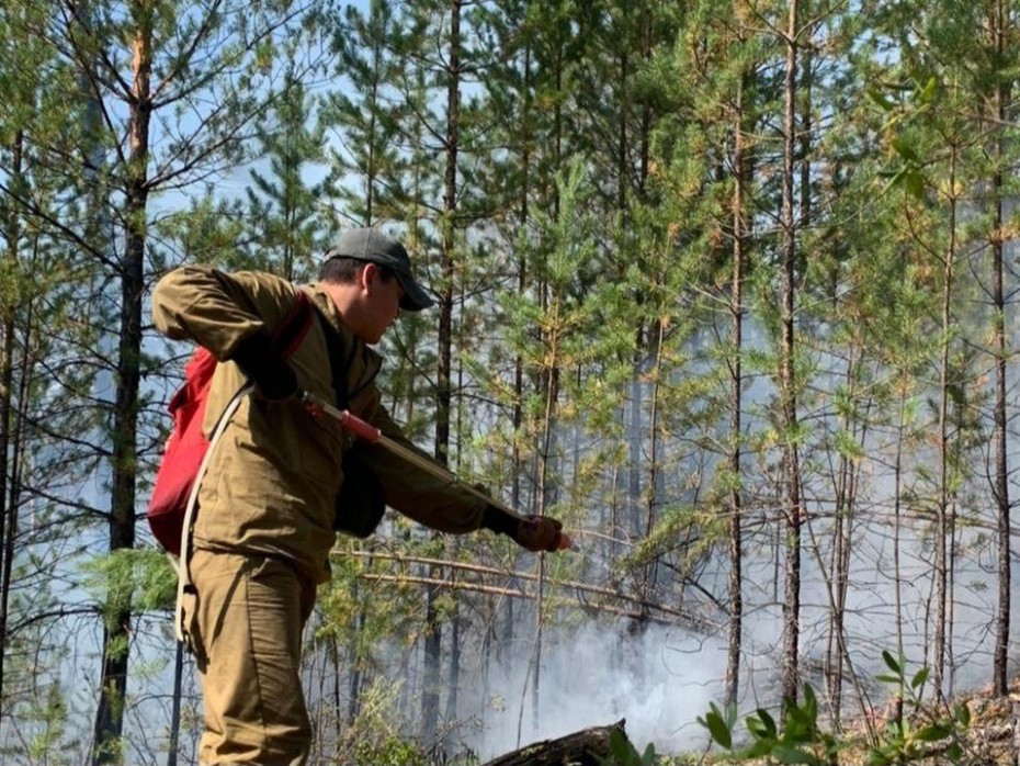 11 лесных пожаров действуют в Якутии по состоянию на 8 сентября