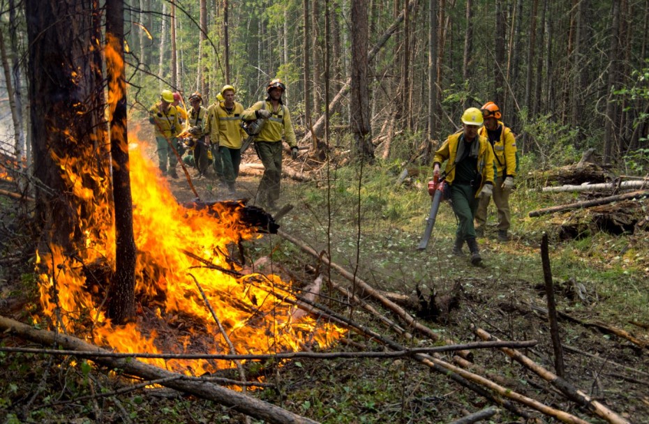 18 лесных пожаров действуют в Якутии по состоянию на 6 сентября
