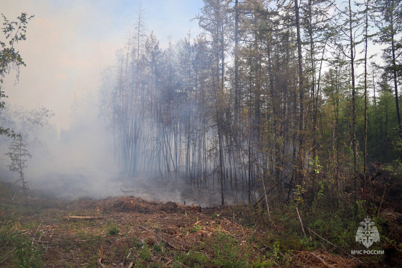 33 природных пожара действуют в Якутии по состоянию на 31 августа