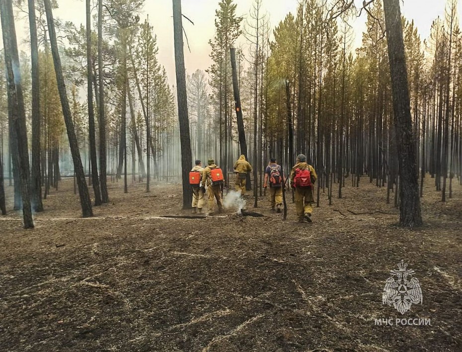 Оперативная информация по тушению природных пожаров в Якутии