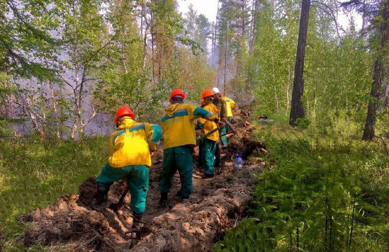 14 лесных пожаров действуют в Якутии по состоянию на 23 августа